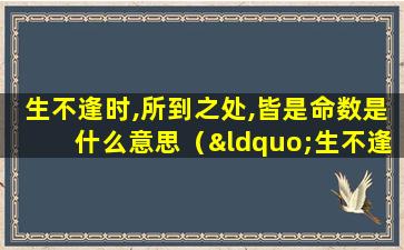 生不逢时,所到之处,皆是命数是什么意思（“生不逢时 爱不逢人 所得皆是命数”是什么意思）